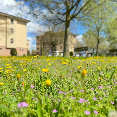 Nel Cuore Della Natura - Parcheggio Gratuito - Wi-Fi Appartement Mezzolara Buitenkant foto