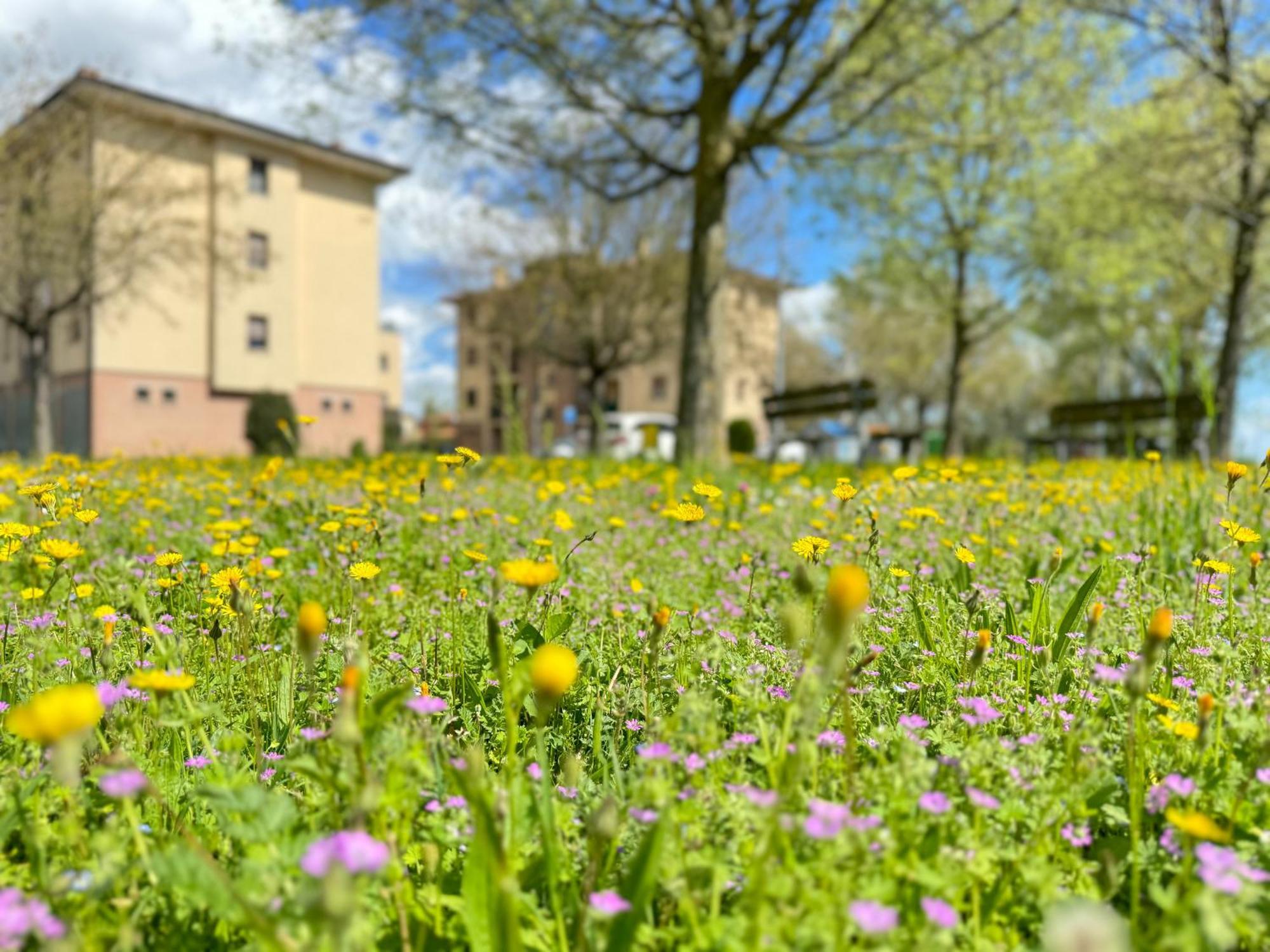 Nel Cuore Della Natura - Parcheggio Gratuito - Wi-Fi Appartement Mezzolara Buitenkant foto