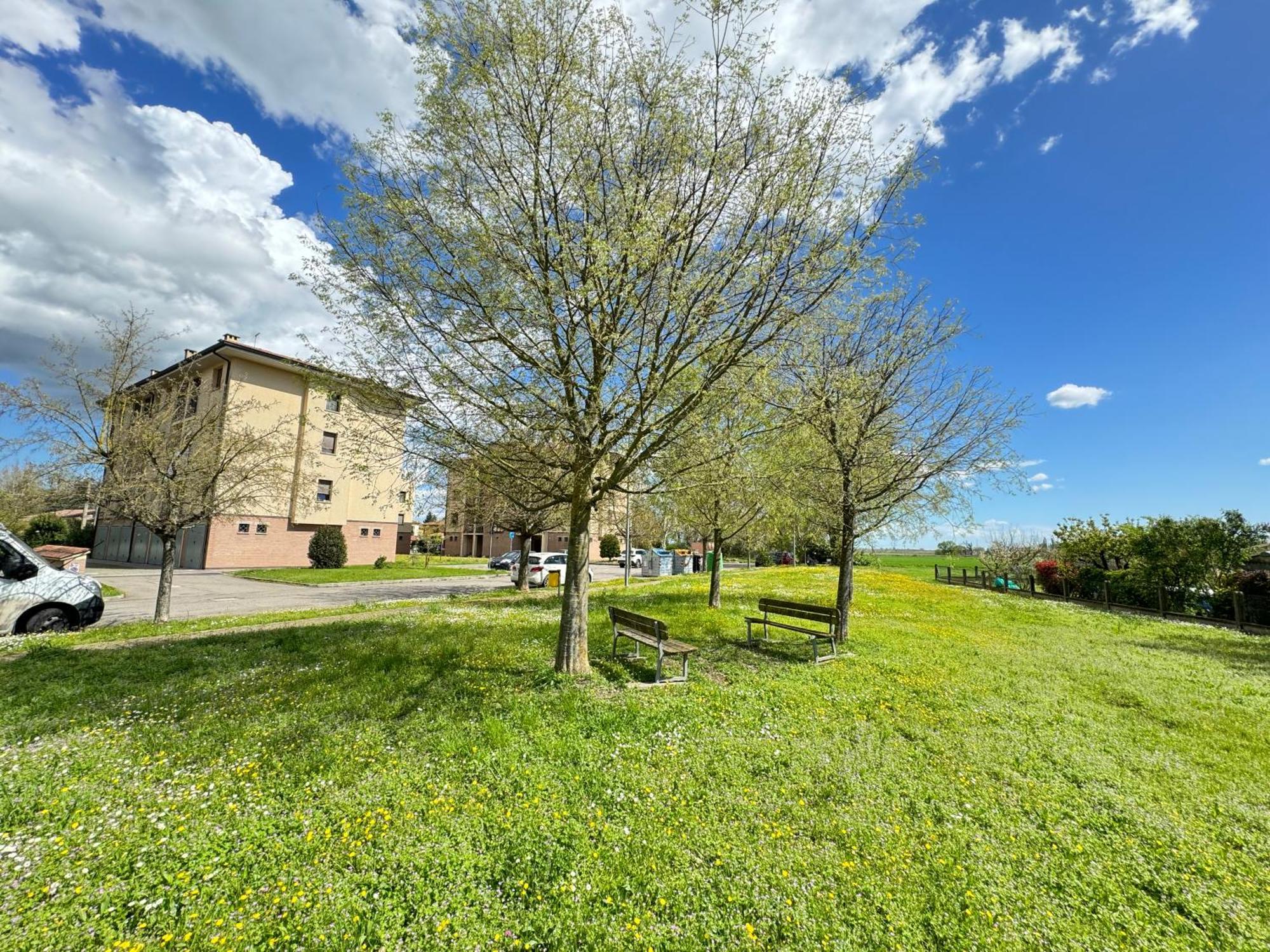 Nel Cuore Della Natura - Parcheggio Gratuito - Wi-Fi Appartement Mezzolara Buitenkant foto