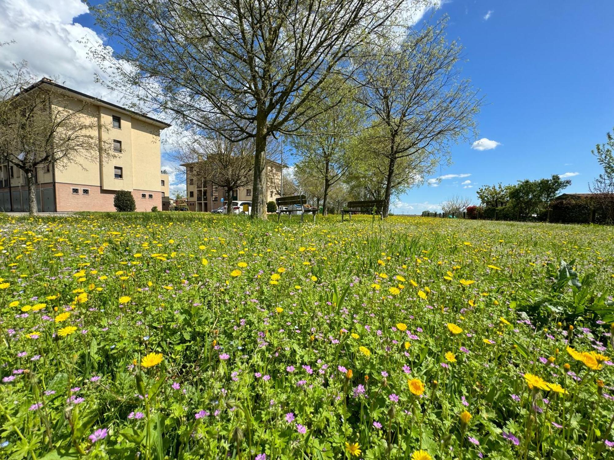 Nel Cuore Della Natura - Parcheggio Gratuito - Wi-Fi Appartement Mezzolara Buitenkant foto